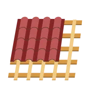  Démoussage